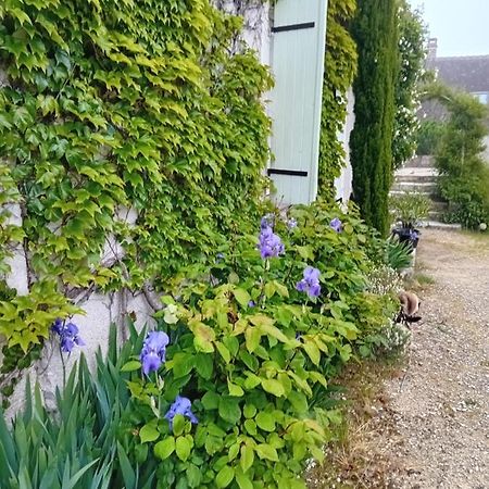 Ode Au Bonheur St Georges Sur Cher Saint-Georges-sur-Cher Exterior foto