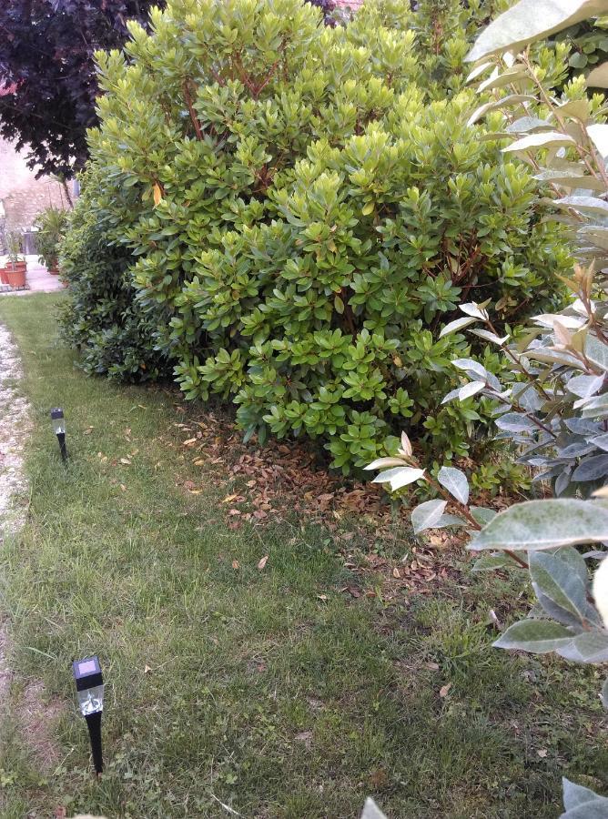 Ode Au Bonheur St Georges Sur Cher Saint-Georges-sur-Cher Exterior foto