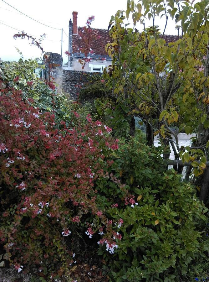 Ode Au Bonheur St Georges Sur Cher Saint-Georges-sur-Cher Exterior foto