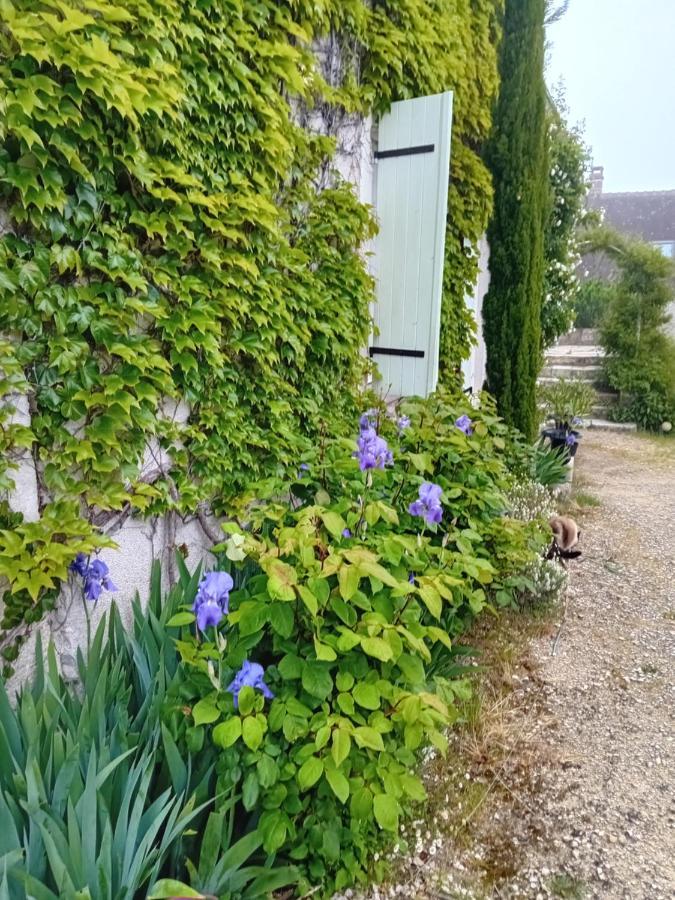 Ode Au Bonheur St Georges Sur Cher Saint-Georges-sur-Cher Exterior foto